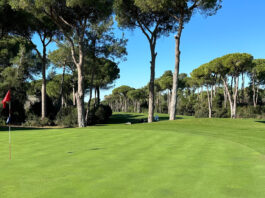 Robinson Nobilis Golf Club