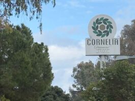 Cornelia Golf Resort