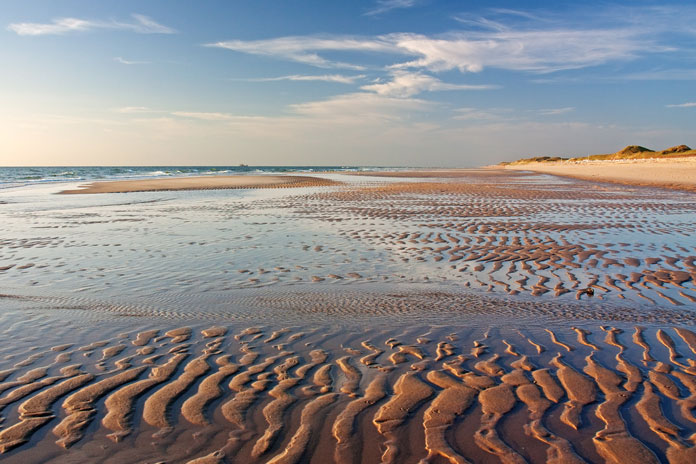 Sandwatt mit Rippelmarken im Abendlicht am Weststrand von Sylt