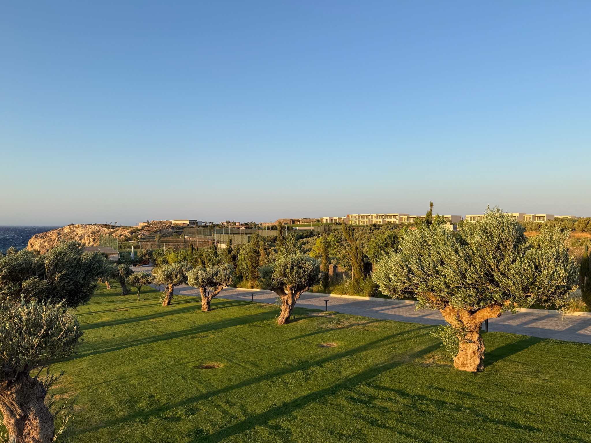 Olivenbäume und Wege auf dem Gelände des ROBINSON Ierapetra auf Kreta.